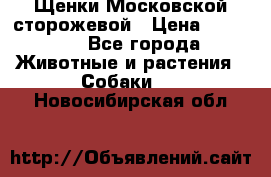 Щенки Московской сторожевой › Цена ­ 35 000 - Все города Животные и растения » Собаки   . Новосибирская обл.